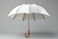 Vector 3D render of a white umbrella icon, perfect for branding