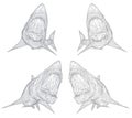 vector 3d shark from a triangular grid