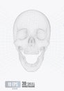 3D wireframe skull front view on white BG