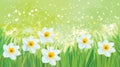 Vector daffodil flowers on spring background.