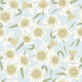 Vector Daffodil Flowers in Yellow Beige Scattered on Light Blue Background Seamless Repeat Pattern. Background for