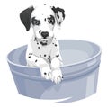 Vector of dalmation dog in bathtub. Royalty Free Stock Photo