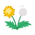 Vector dandelion icon. First blooming plant illustration. Floral clip art. Cute flat spring flower isolated on white background