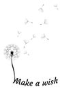 Vector Dandelion Make a Wish Royalty Free Stock Photo