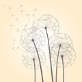 Vector Dandelions on colour background. EPS Illustration