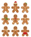 vector decorated gingerbread cookie