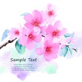 Vector decoration branch with flowers, spring cherry blossom on white background. Place for your text. Sakura Japanese cherry tree Royalty Free Stock Photo
