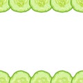 Vector decorative border of cucumber slice on white background