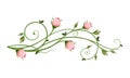 Vector decorative design element with pink rosebuds.