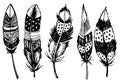 Vector Decorative Feather, Tribal design, Tattoo. Artistically drawn, stylized, vector set of feathers on a white Royalty Free Stock Photo