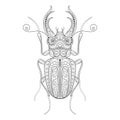 Vector Decorative Ornate Beetly