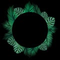 Vector decorative round frame with realistic monstera and palm leaves on black background Royalty Free Stock Photo