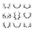 Vector deer antlers isolated on white