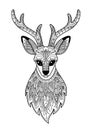 Vector deer head antistress doodle coloring book page for adult. Forest deer black and white illustration Royalty Free Stock Photo