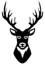 Vector Deer Head Silhouette Isolated On White Royalty Free Stock Photo