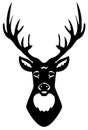 Vector Deer Head Silhouette Isolated On White Royalty Free Stock Photo