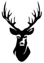 Vector Deer Head Silhouette Isolated On White Royalty Free Stock Photo