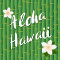 Vector design of Aloha Hawaii brush lettering text on bamboo stems background and frangipany flowers.