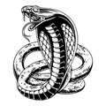 Vector design angry cobra with circle background black and white