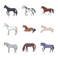 Vector design of animal and stallion logo. Set of animal and farm vector icon for stock. Royalty Free Stock Photo