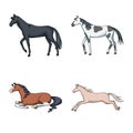 Vector design of animal and stallion sign. Set of animal and farm vector icon for stock. Royalty Free Stock Photo
