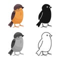 Isolated object of bird and redstart logo. Collection of bird and decorative vector icon for stock.