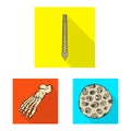 Vector design of bone and skeleton icon. Set of bone and human stock symbol for web.