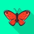 Isolated object of butterfly and red symbol. Collection of butterfly and species vector icon for stock.