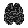 Vector design of cerebrum and hemisphere symbol. Web element of cerebrum and gyri vector icon for stock.