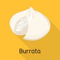 Vector design of cheese and burrata icon. Graphic of cheese and meal stock symbol for web.