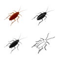 Vector design of cockroach and pest icon. Set of cockroach and dirty stock vector illustration.