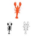 Isolated object of crayfish  and lobster symbol. Set of crayfish  and boiled stock vector illustration. Royalty Free Stock Photo