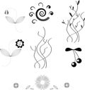 Vector design elements of flowers