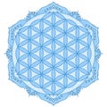 Vector design of Flower of life inside a lotus