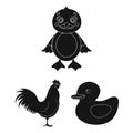 Vector design of funny and poultry icon. Set of funny and farming stock symbol for web. Royalty Free Stock Photo