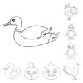 Vector design of funny and poultry symbol. Set of funny and farming vector icon for stock. Royalty Free Stock Photo