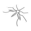 Vector design of gnat and mosquito symbol. Set of gnat and virus vector icon for stock. Royalty Free Stock Photo