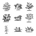 Vector design of greenhous and plant icon. Set of greenhous and garden stock symbol for web. Royalty Free Stock Photo