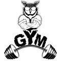 Vector design for a gym with an abstract image of a strong owl.