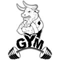 Vector design for a gym with an abstract image of a strong wild bull Royalty Free Stock Photo