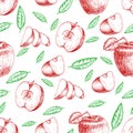 Vector design of hand drawn pomegranate. Vintage sketch style illustration. Organic eco food. Whole , sliced pieces half Royalty Free Stock Photo