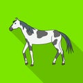 Vector design of horse and dapple sign. Set of horse and fauna stock symbol for web.
