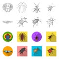 Isolated object of insect and beetle icon. Collection of insect and halloween stock symbol for web.