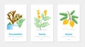 Vector design of onboarding screens with nutrition food supplements. Modern and simplified illustrations with plants