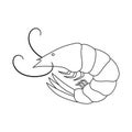 Isolated object of prawn and raw symbol. Collection of prawn and cooked stock vector illustration.