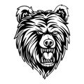 Vector design scary bear on a centrimetric background black and white