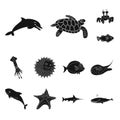 Vector design of sea and animal icon. Set of sea and marine stock vector illustration. Royalty Free Stock Photo