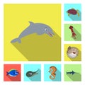 Vector design of sea and animal icon. Set of sea and marine vector icon for stock. Royalty Free Stock Photo