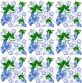 Vector design of seamless flower patterns. tropical summer background Royalty Free Stock Photo