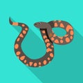  object of serpent and viper logo. Web element of serpent and rattlesnake vector icon for stock.